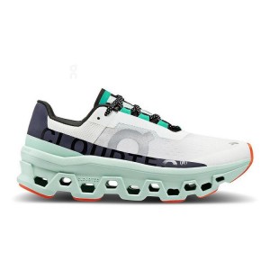 Turquoise / White Women On Cloud Cloudmonster Road Running Shoes | IE_ON8252