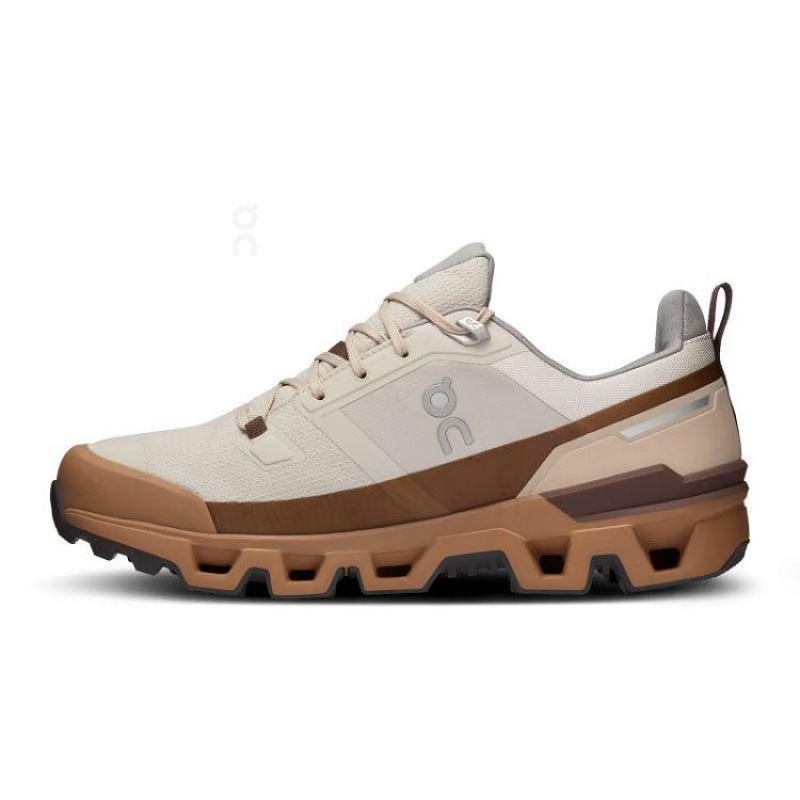 Brown Men On Cloud Cloudwander Waterproof Hiking Shoes | IE_ON8132