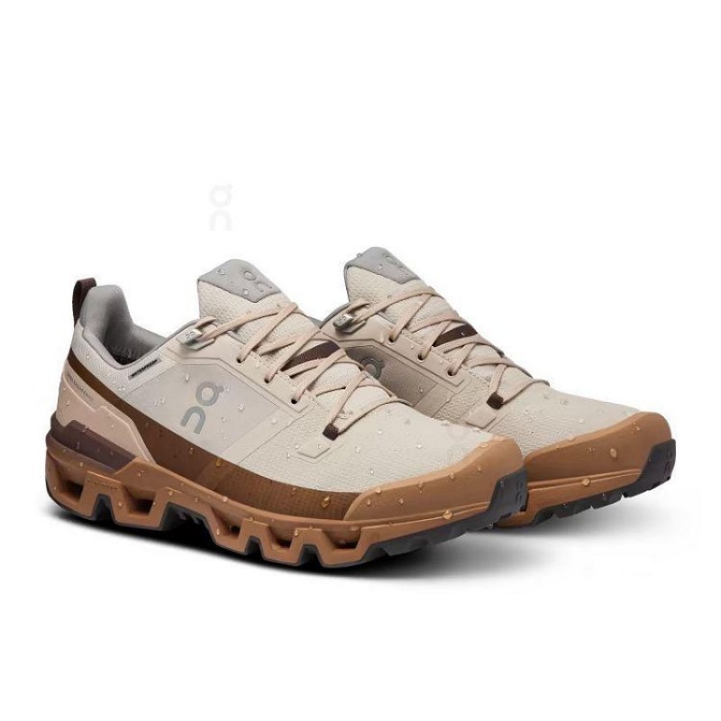 Brown Men On Cloud Cloudwander Waterproof Hiking Shoes | IE_ON8132