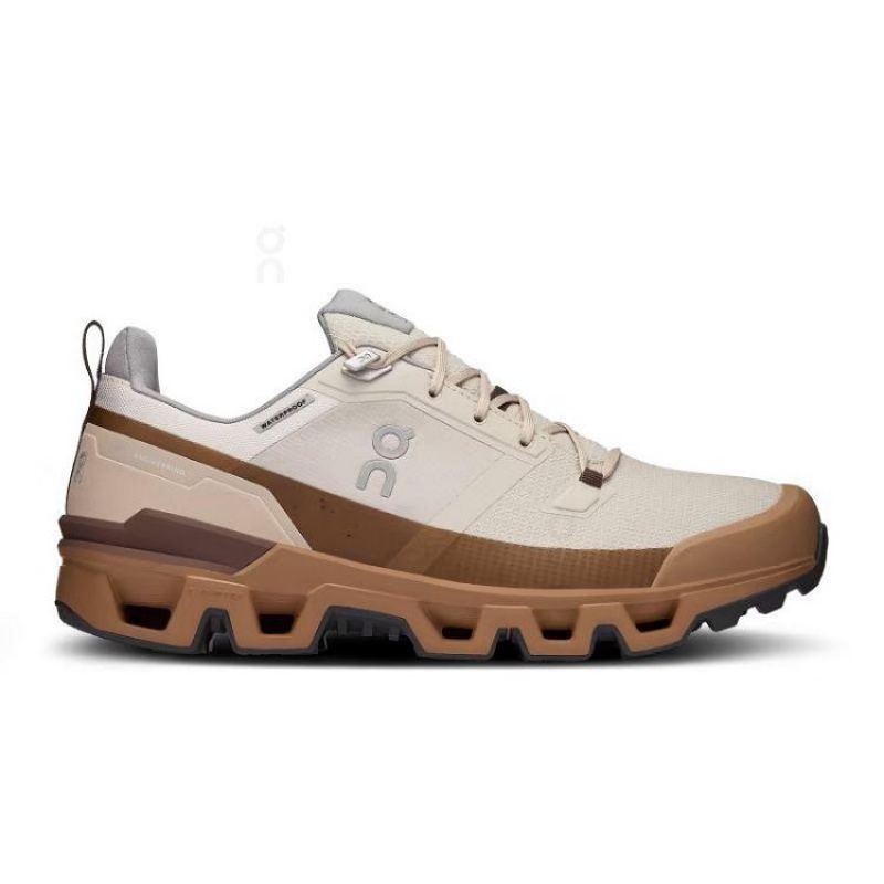 Brown Men On Cloud Cloudwander Waterproof Hiking Shoes | IE_ON8132